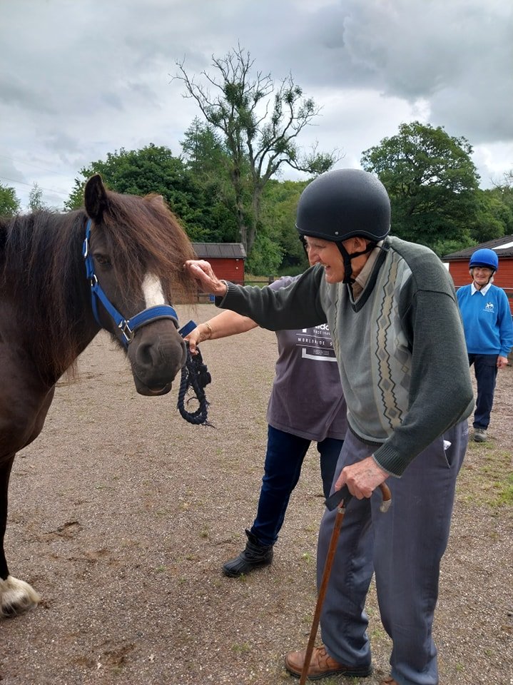 Equine Facilitated Ground Sessions