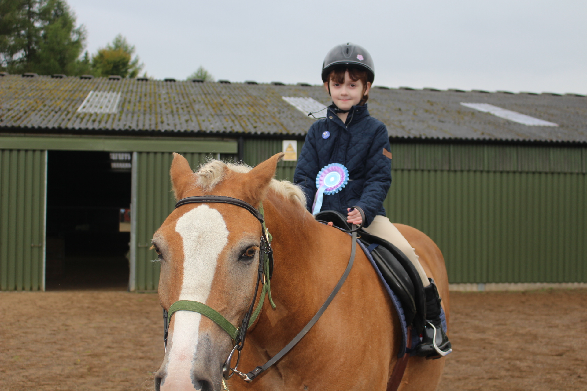 Shiresmill's First Dressage Competition - A Brilliant Day!