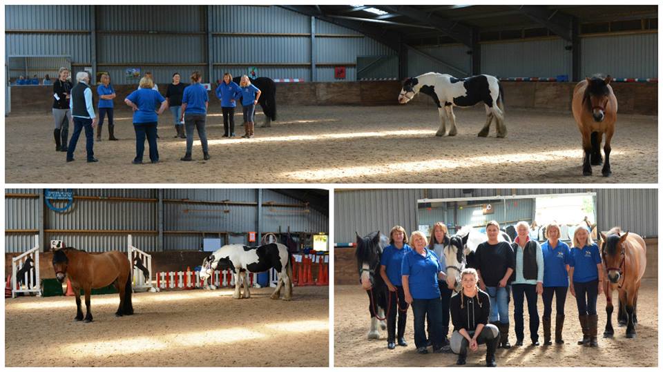 Equine Assisted Learning Workshop with Sarah Morehouse