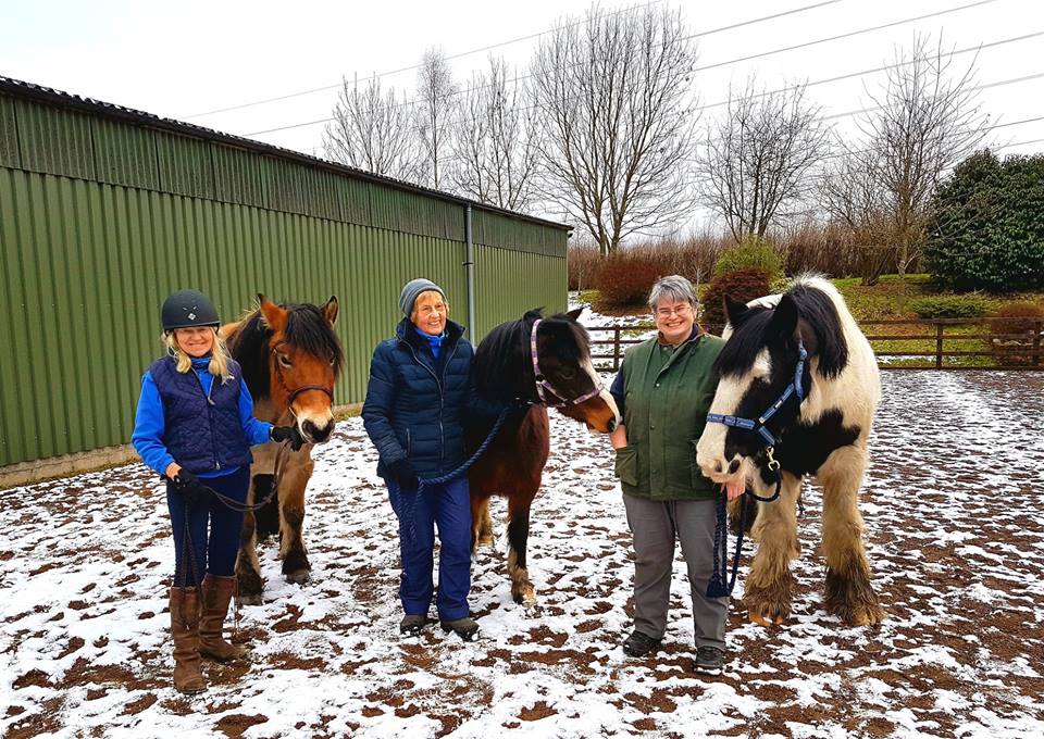 A Welcome Visit from the Chiropractor for Shiresmill Ponies