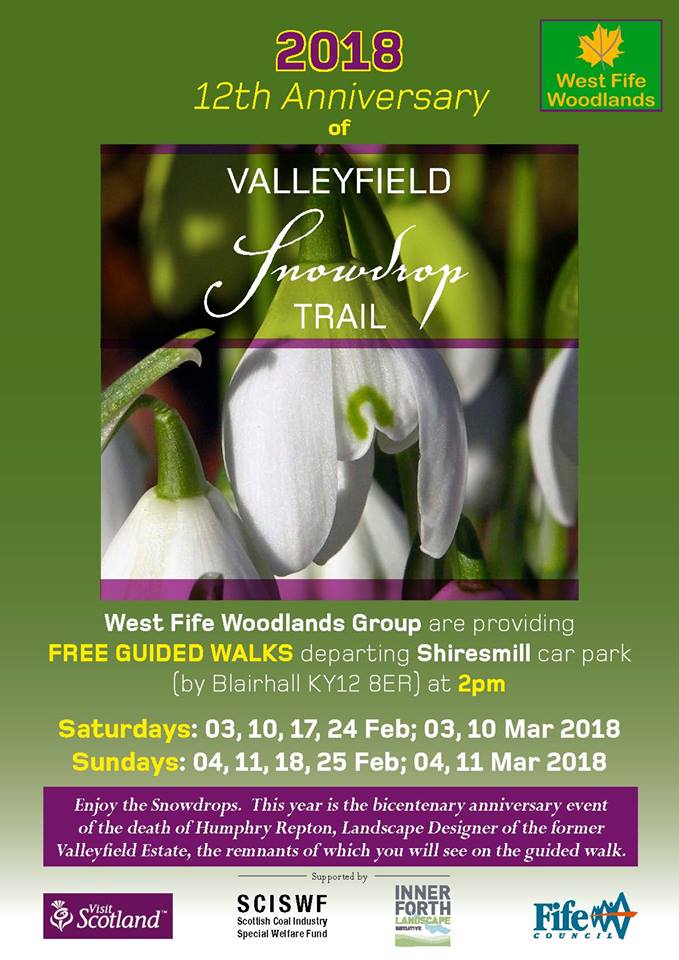 Valleyfield Snowdrop Trail Walks - On Now!