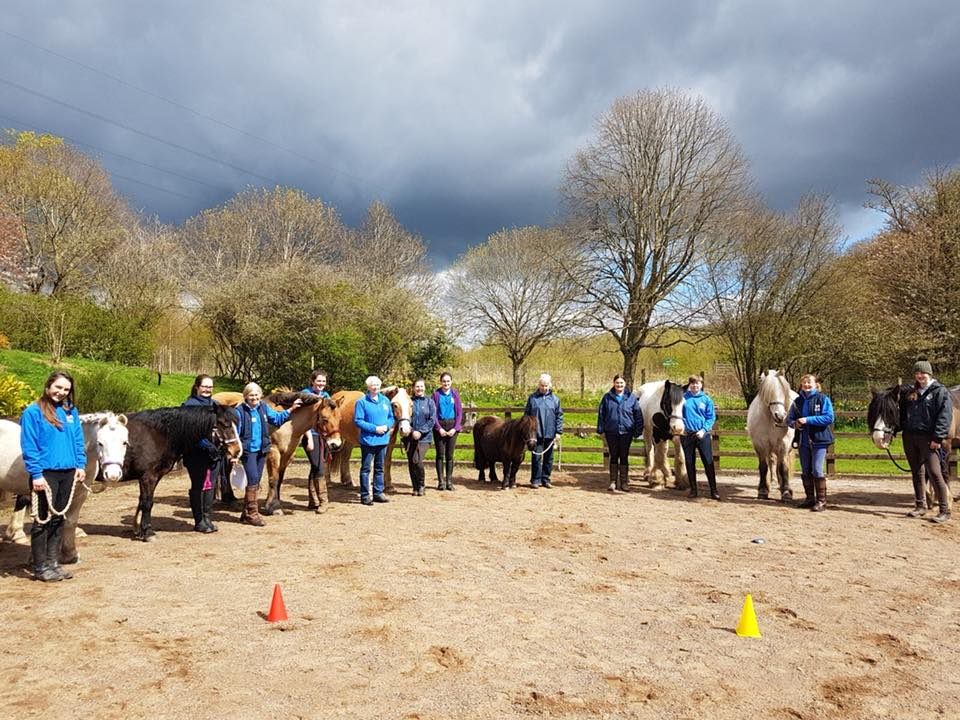 Pony Sponsorship Day and Learn about Volunteering Success!